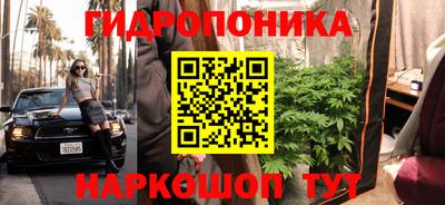 спиды Малгобек